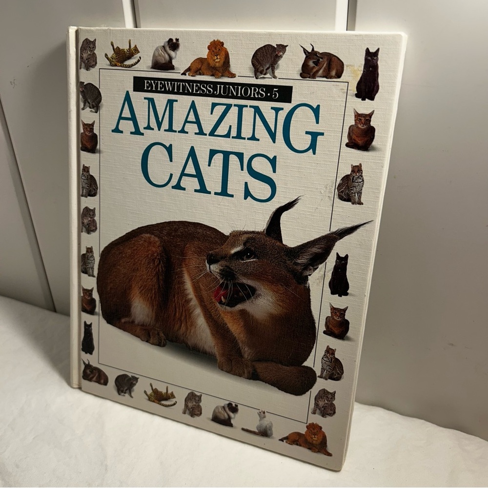 Vintage Amazing Cats Book 1990 DK Eyewitness Juniors 5 kids hardcover book 90s